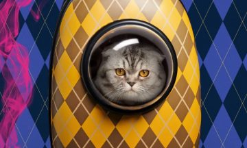 Трейлеры недели: Императрицы, Лара Крофт и котик в рюкзаке