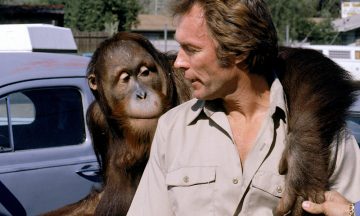 Удивительные звери-актеры, которыми восхищались Брэд Питт и Клинт Иствуд