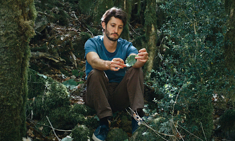 «Книга решений» Мишеля Гондри: Самое эксцентричное кино о кино