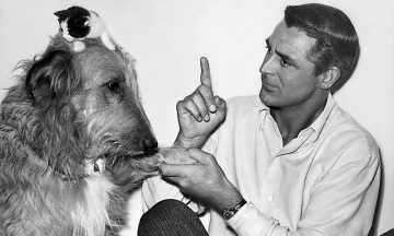 Кэри Грант на века: Ярчайшие роли голливудской легенды