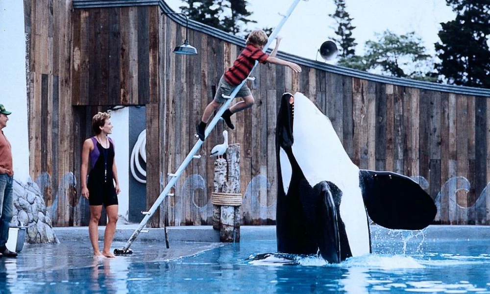 «Освободите Вилли»