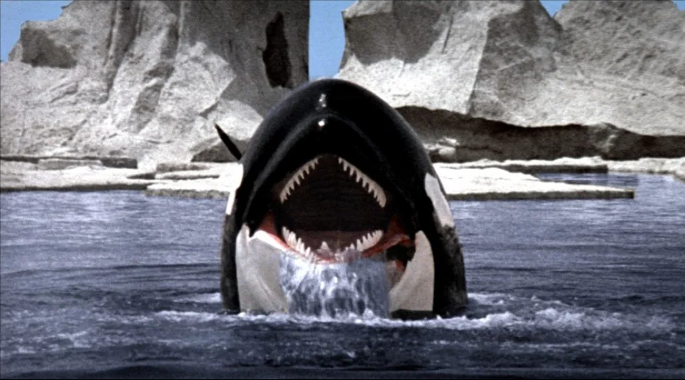 «Смерть среди айсбергов»