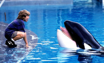 Киты на большом экране: Хорошие, плохие, злые