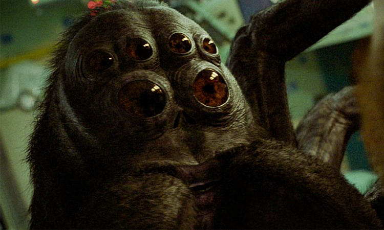 «Космонавт»: Хьюстон, у нас гигантский паук