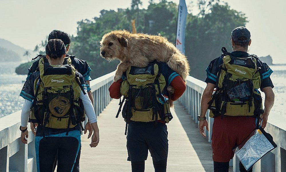 «Артур, ты король»