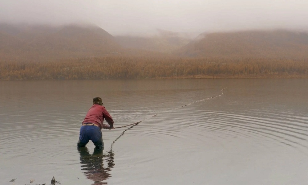 Конкурс документального кино 