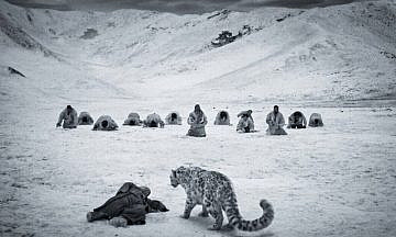 На Чукотке в восьмой раз пройдет фестиваль «Золотой ворон»