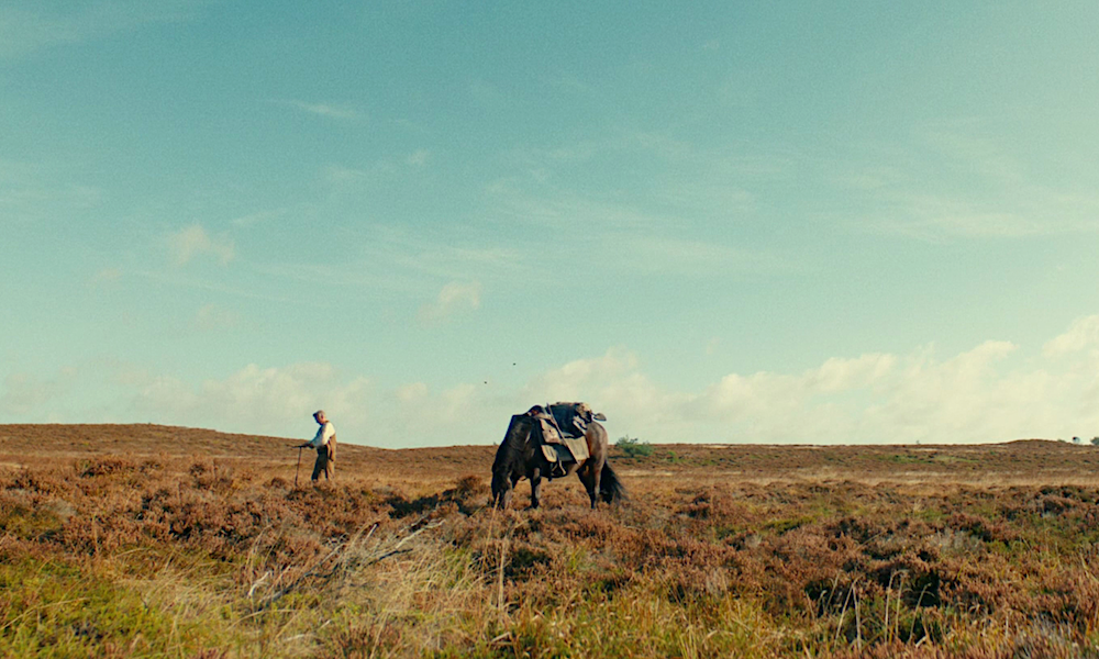 «Меч короля»