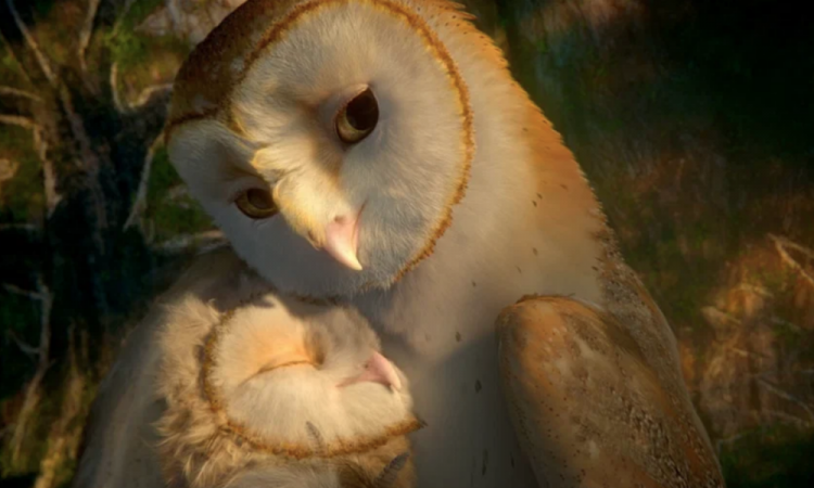 Мультфильмы больших режиссеров