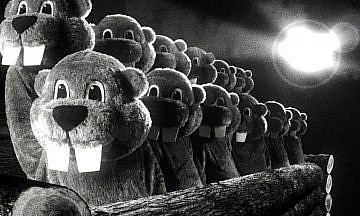 ММКФ-2024: Самая дикая пятерка смотра