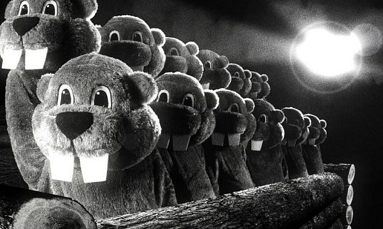 ММКФ-2024: Самая дикая пятерка смотра