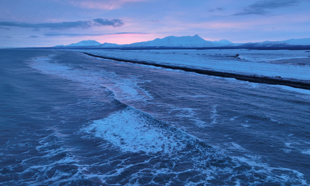 «Огненный лис»