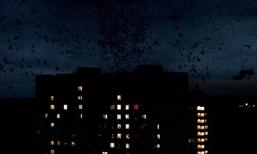 «Ночной дозор»