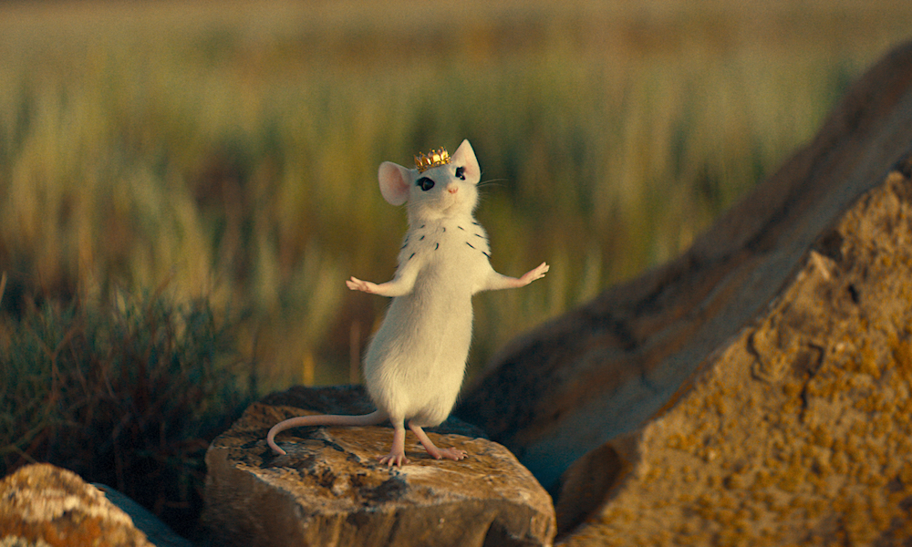 «Волшебник Изумрудного города. Дорога из желтого кирпича»