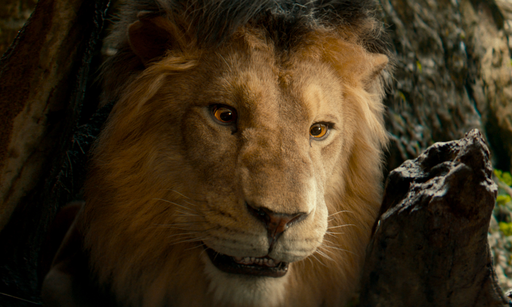 «Волшебник Изумрудного города. Дорога из желтого кирпича»