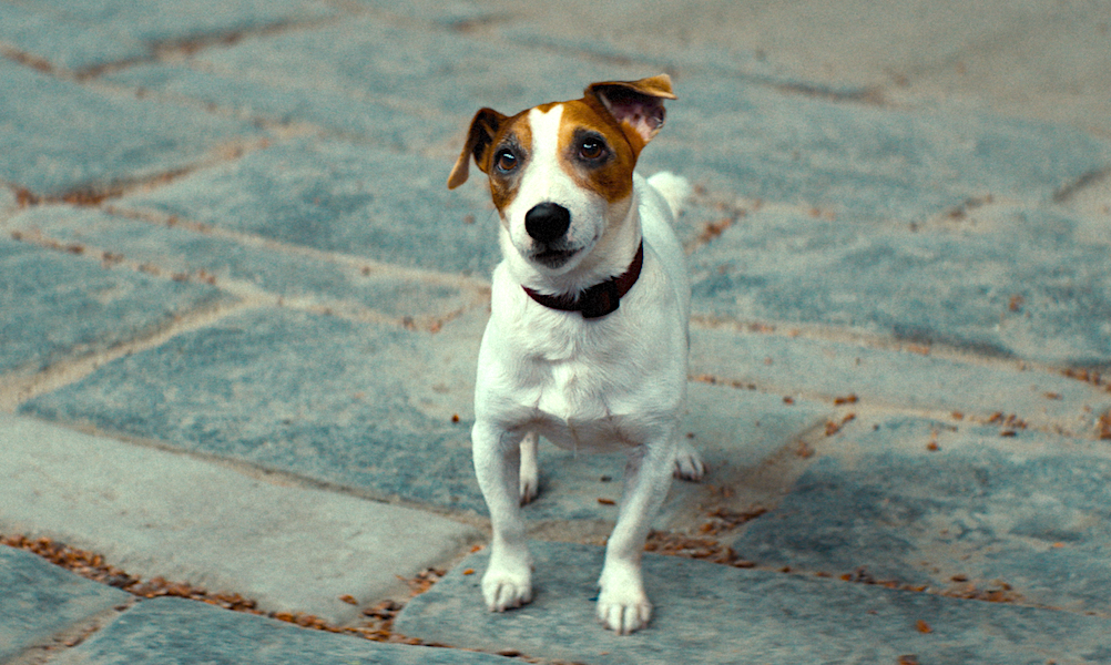 «Волшебник Изумрудного города. Дорога из желтого кирпича»