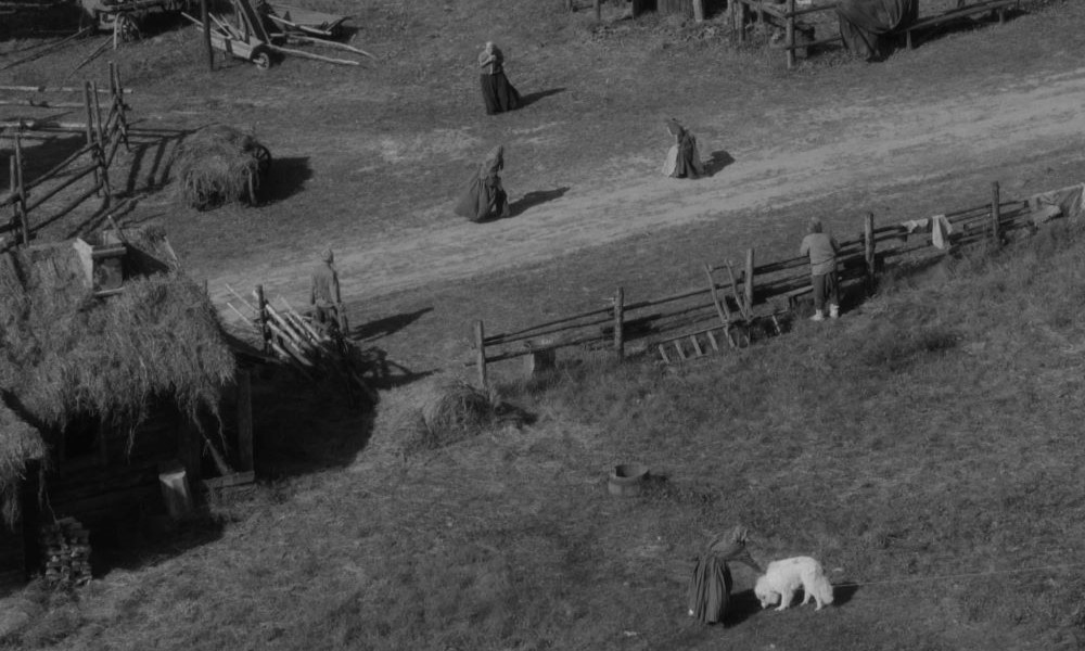 «На этой земле»