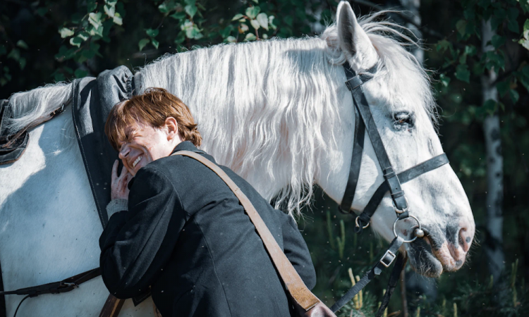 Российский кинорынок: Что мы будем смотреть в кино в ближайшие месяцы