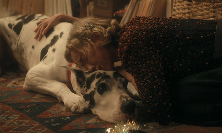 «Верный друг»: Собачья жизнь Наоми Уоттс