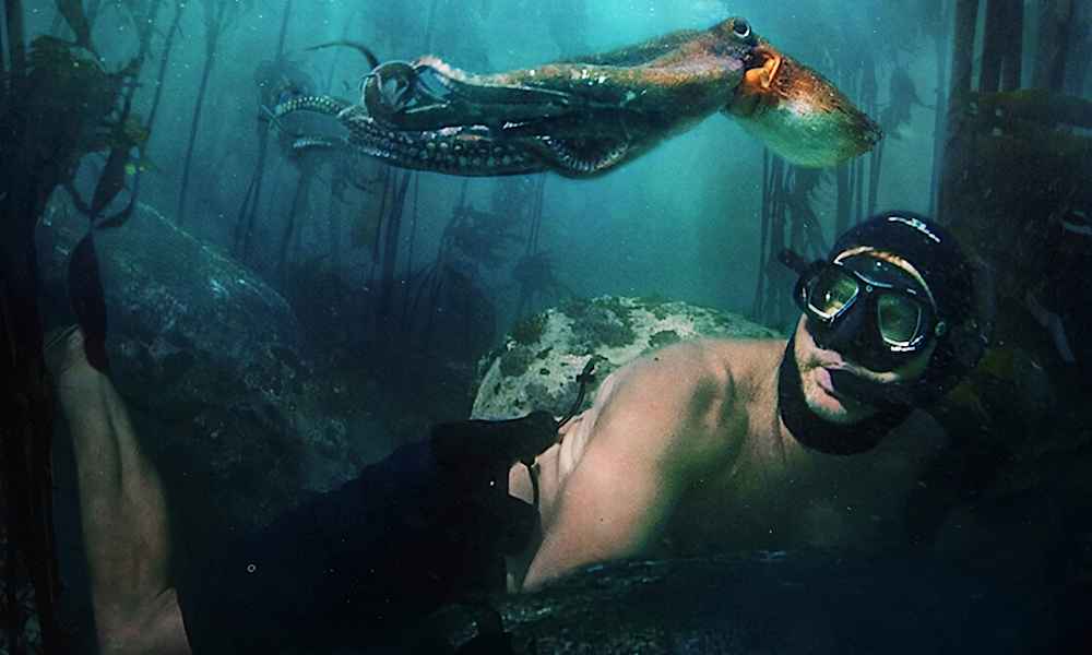 «Мой учитель – осьминог». Доки о подводных мирах