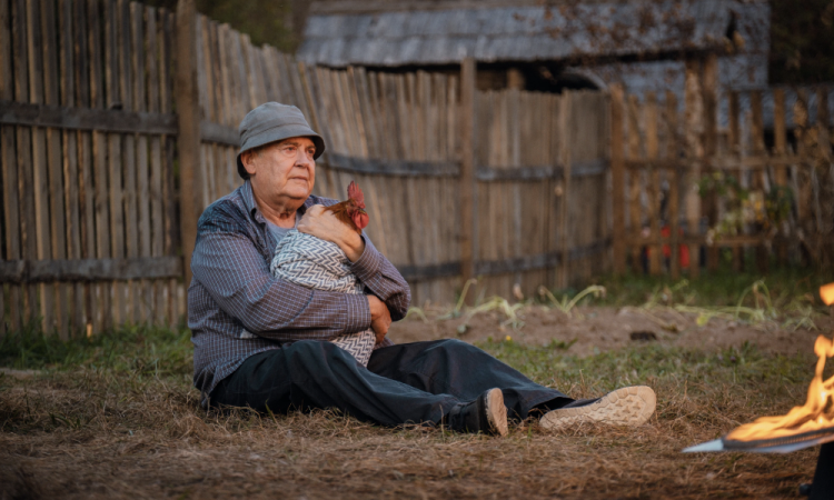 7 фильмов о каникулах с дедом: Герои войны, хулиганы и мудрые наставники