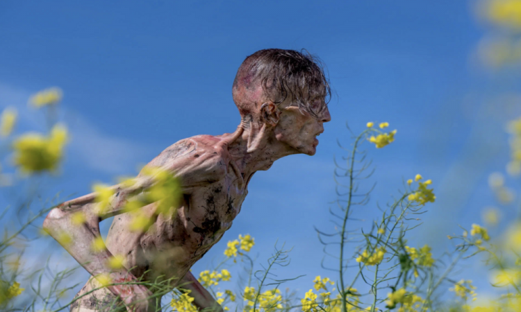 Зомби снова атакуют: Что ждать от фильма «28 лет спустя»