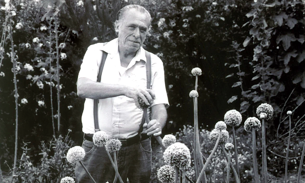 «Буковски»