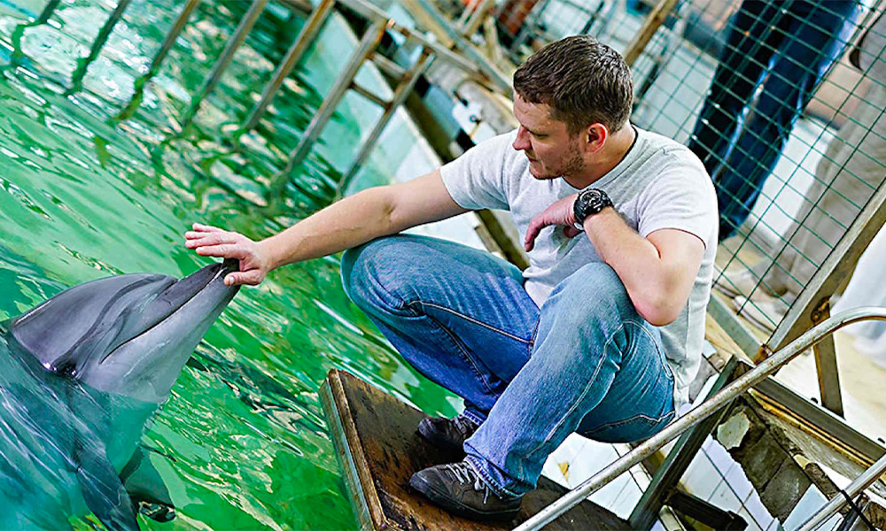 Менты и звери