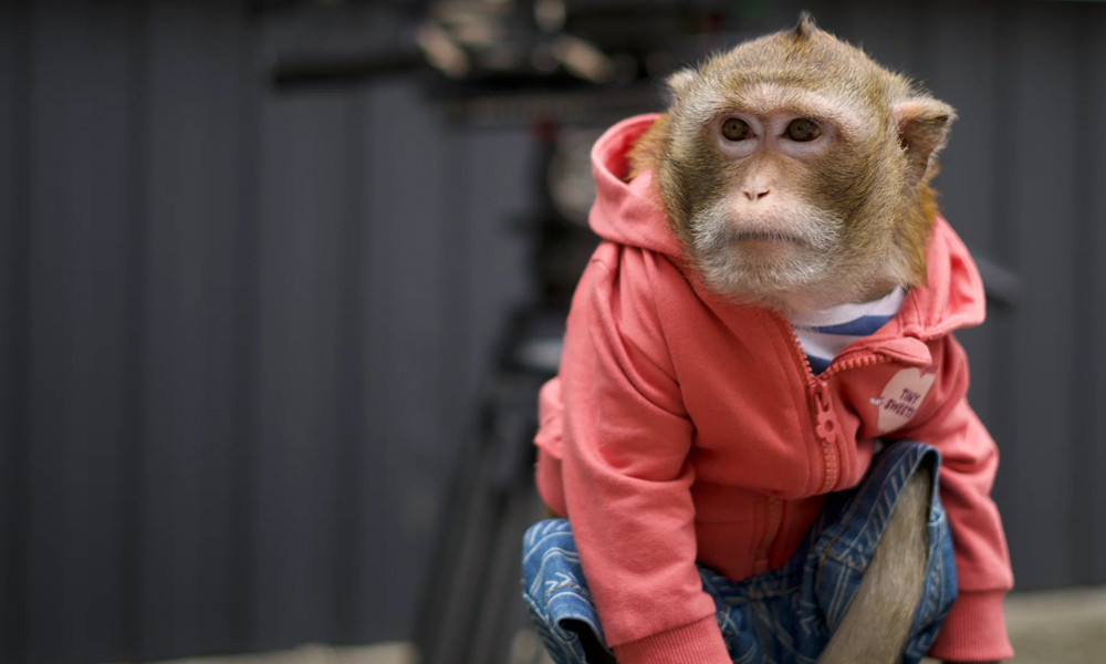 Менты и звери