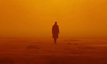 Оранжевое море: Топ-7 фильмов в осенней палитре