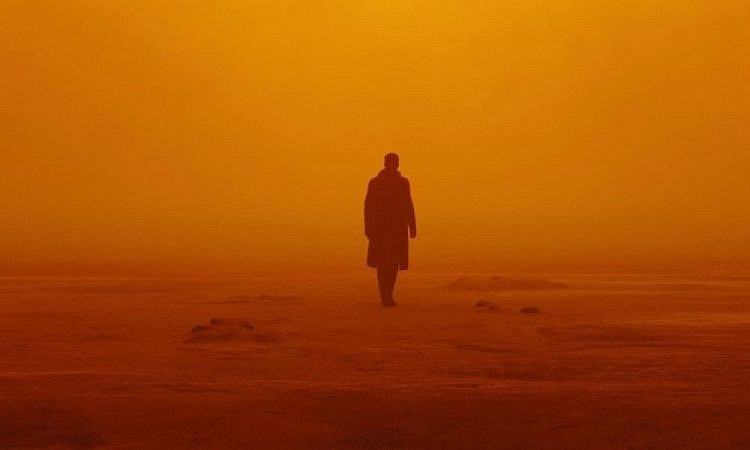 Оранжевое море: Топ-7 фильмов в осенней палитре