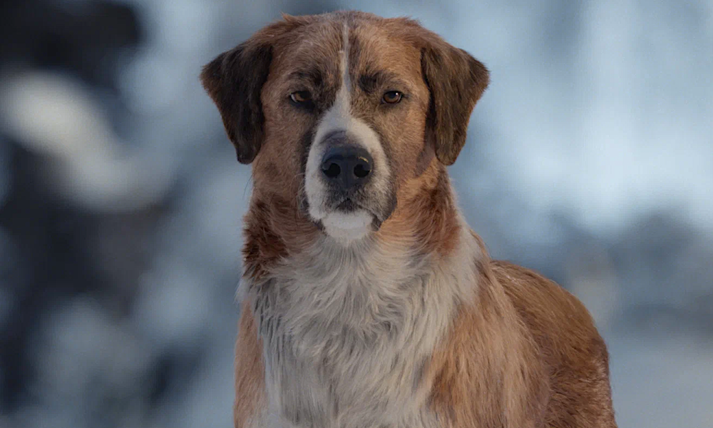 «Зов предков»