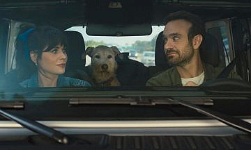 «Мерв»: Зои Дешанель и Чарли Кокс лечат собачью депрессию на Рождество