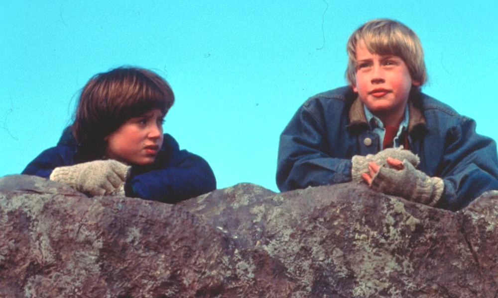 «Добрый сынок»