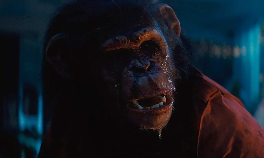 «Примат»: Камерный хоррор про кровожадного шимпанзе