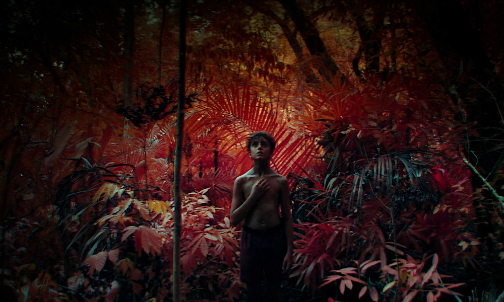 «Повелитель мух»