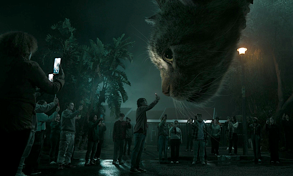 «Удачи, веселья, не сдохни»