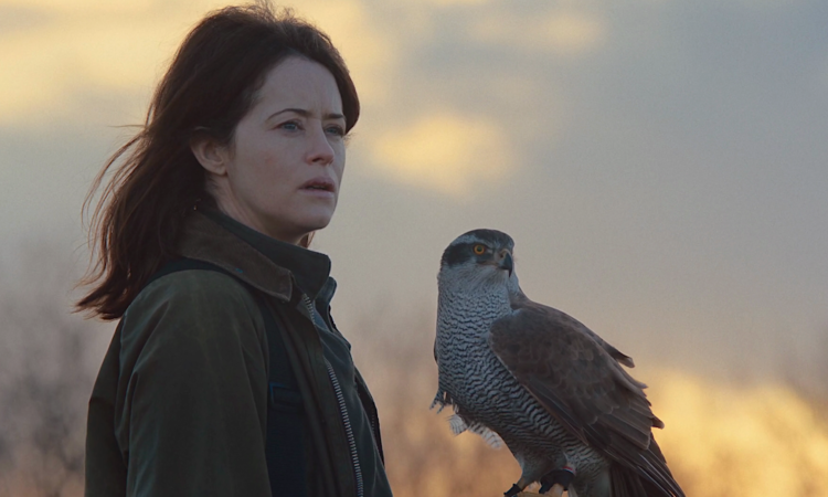 «Я – значит ястреб»: Трагедия на кончике пера