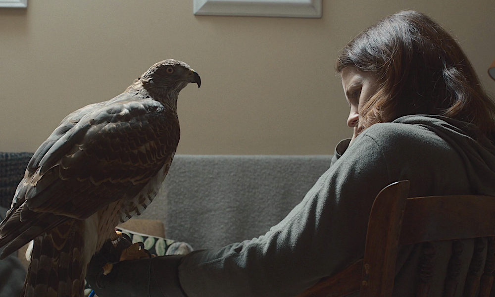 «Я – значит ястреб»