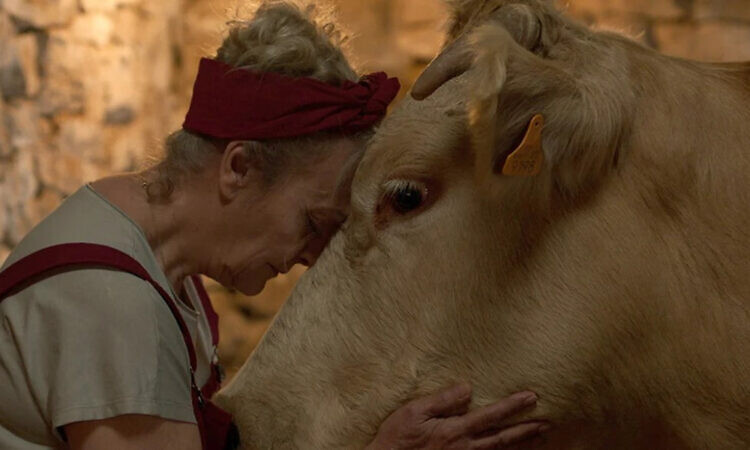 ММКФ-2026: Фильмы основного конкурса