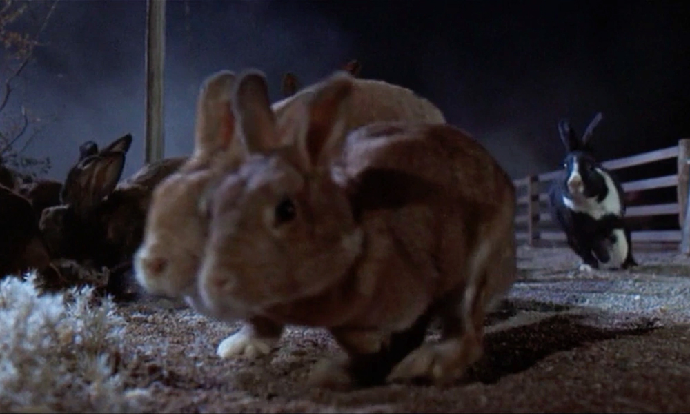«Ночь кролика» (1972)